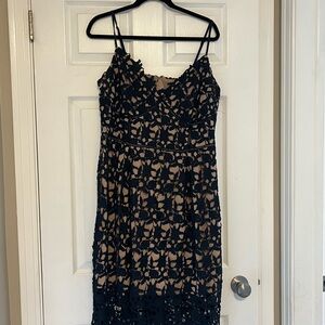 Elegant Navy Lace Overlay Dress